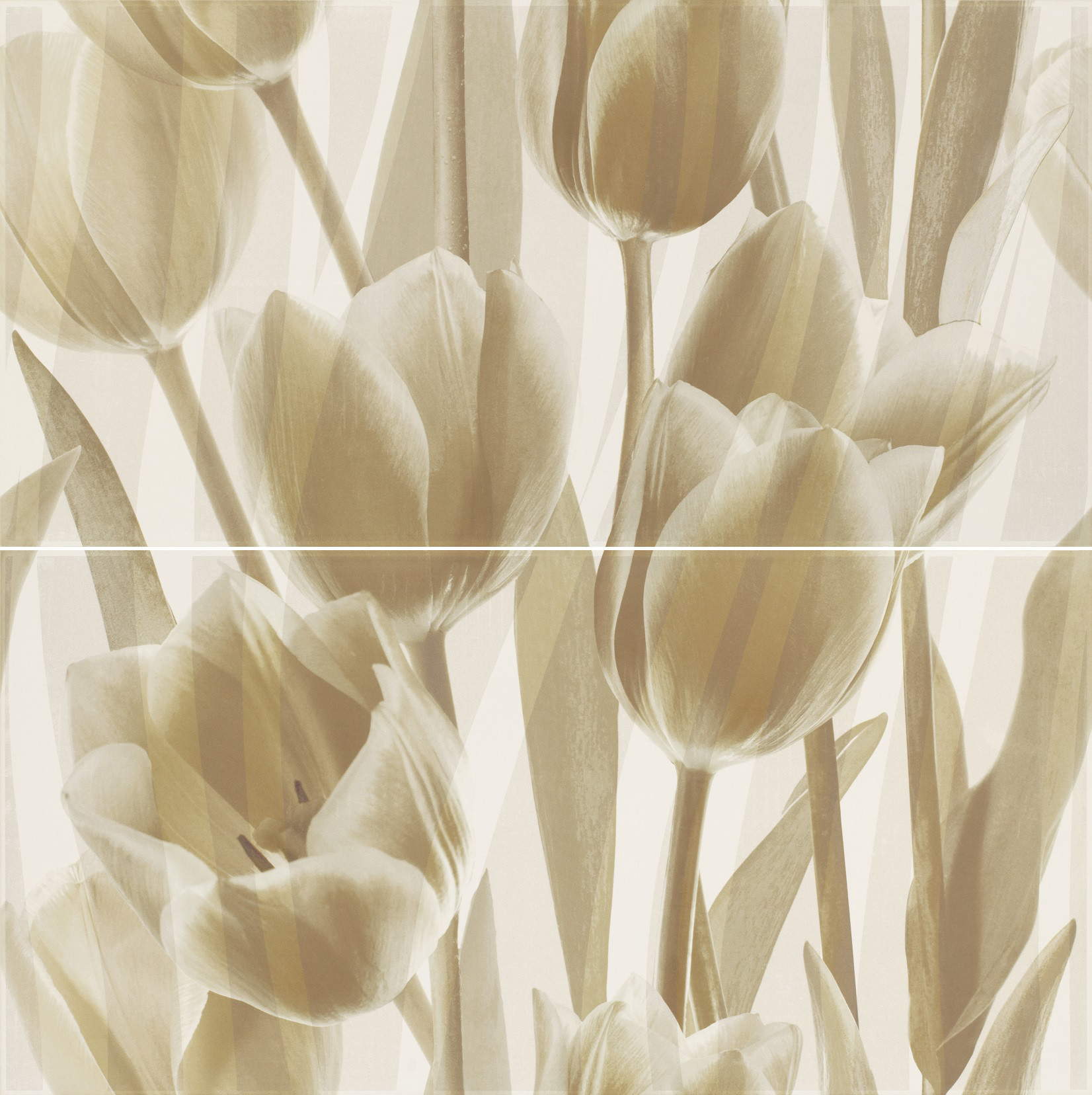 Imagine Coraline Panel Tulipany