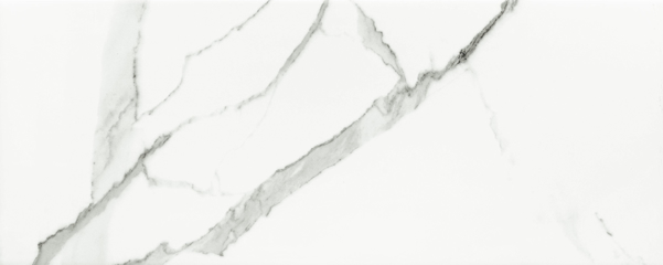 Imagine Faianta Vienna White 29,8x74,8